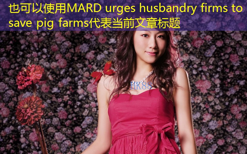MARD urges husbandry firms to save pig farms